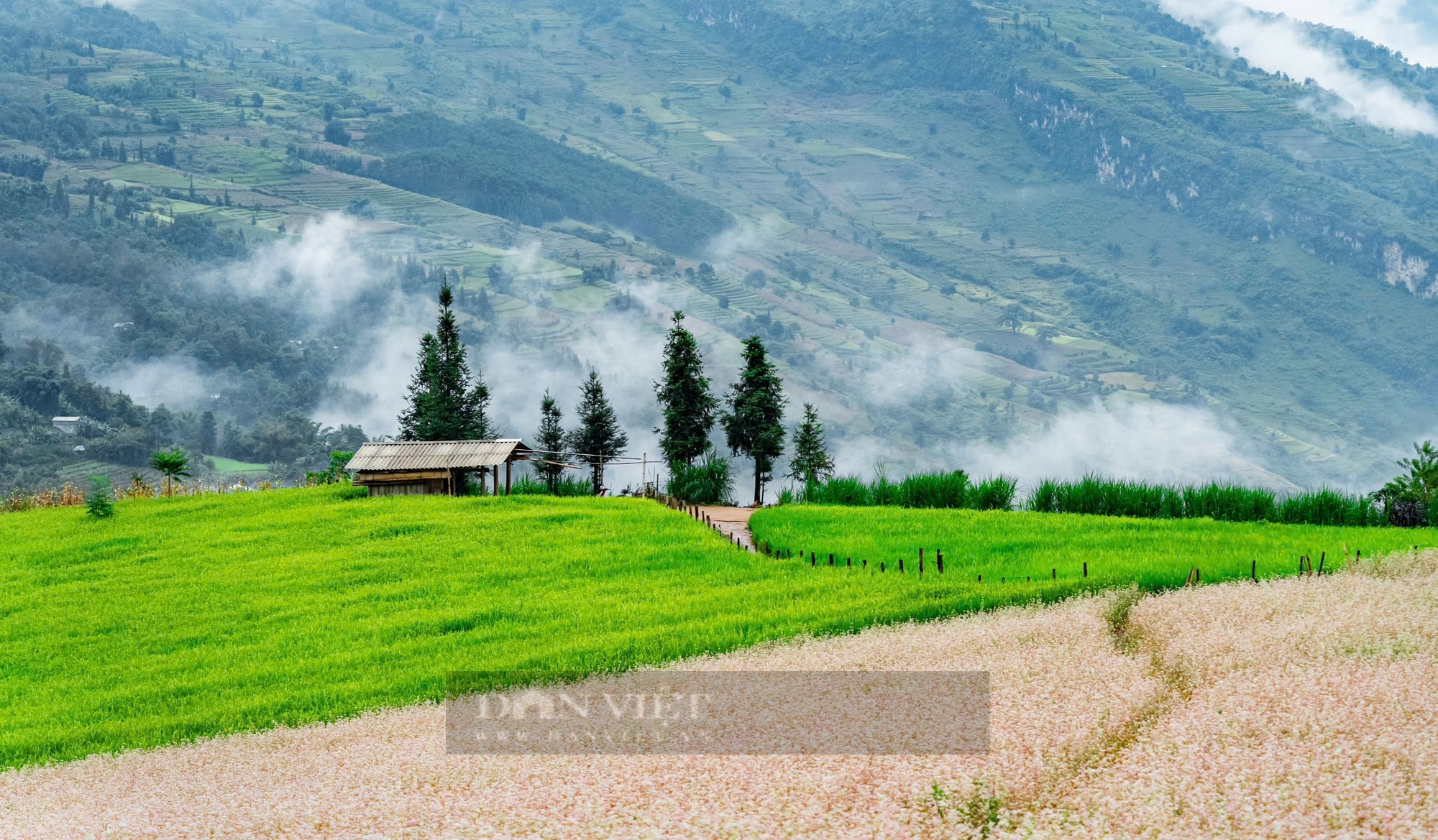 Thảo nguyên Suối Thầu - Vùng đất của những sắc màu tự nhiên - Ảnh 2.