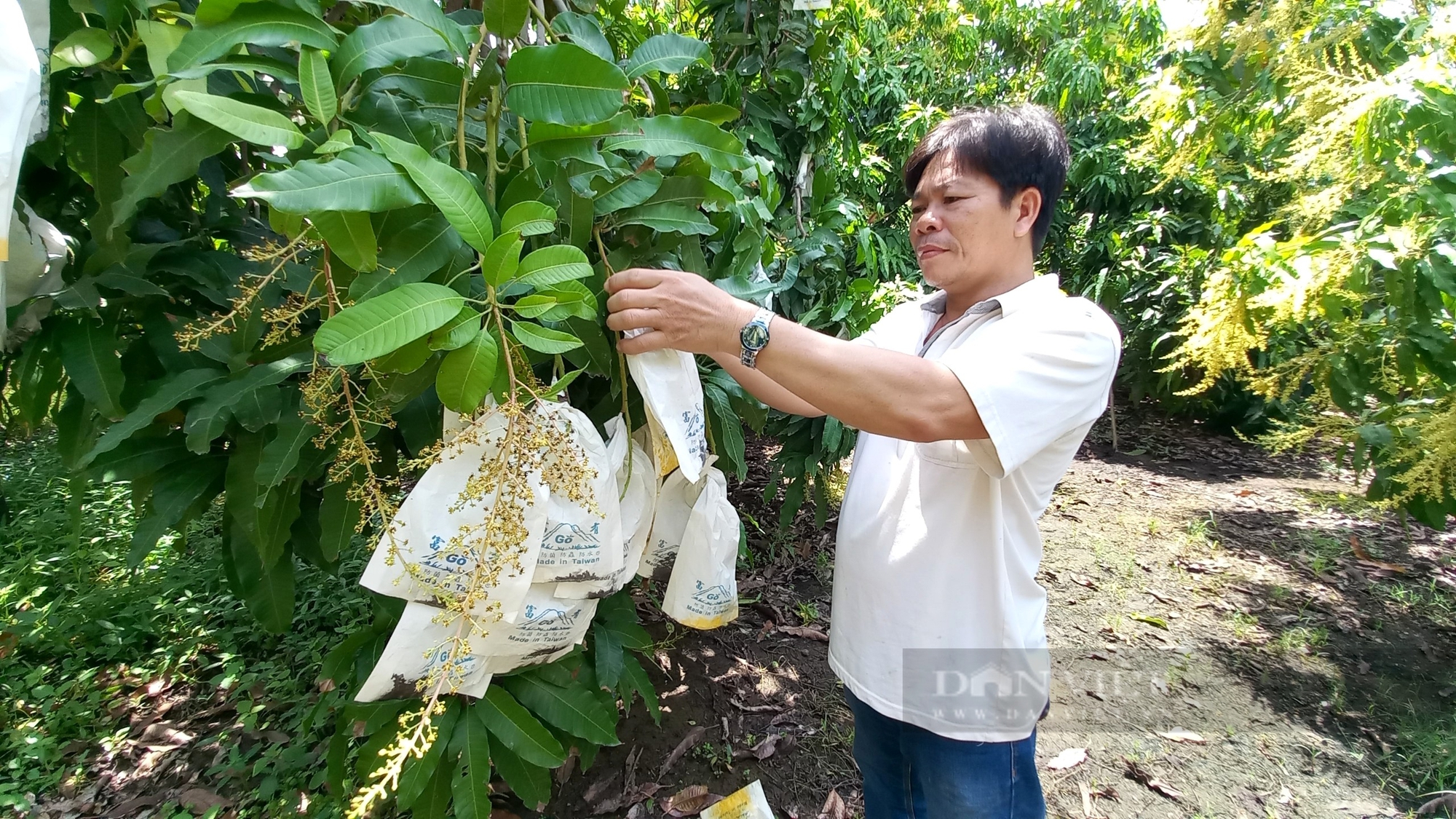 Tăng hỗ trợ xúc tiến thương mại để làng nghề, ngành nghề nông thôn làm giàu - Ảnh 1.