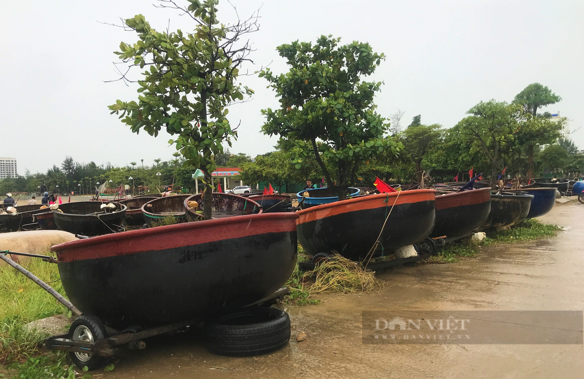 Siêu bão số 3 (Yagi): Người dân ở Nghệ An neo tàu thuyền, gia cố nơi xung yếu đảm bảo an toàn- Ảnh 6.