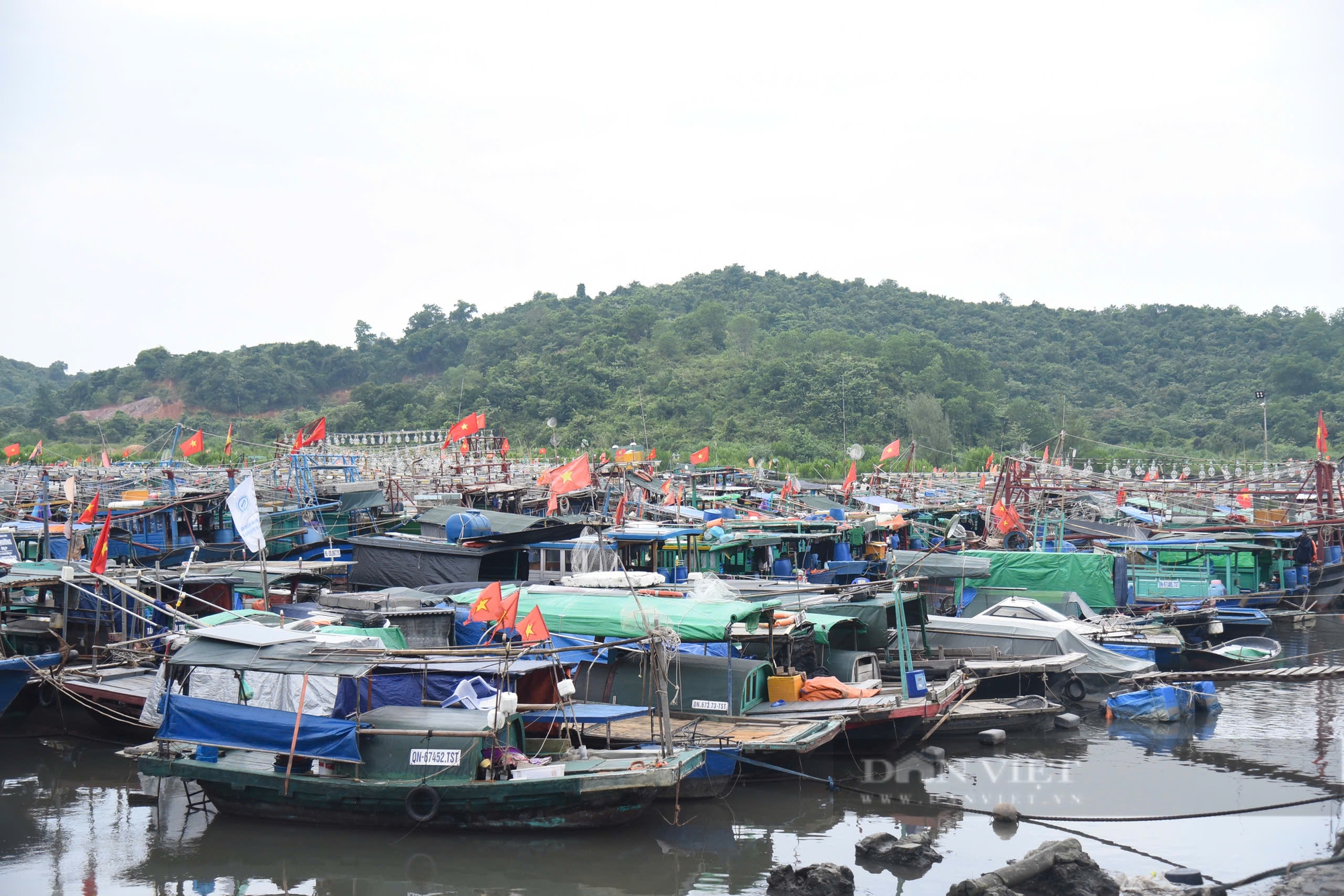 Siêu bão YAGI sắp đổ bộ, ngư dân Quảng Ninh hối hả neo đậu tàu thuyền, có người về bờ từ 2 ngày trước - Ảnh 6.