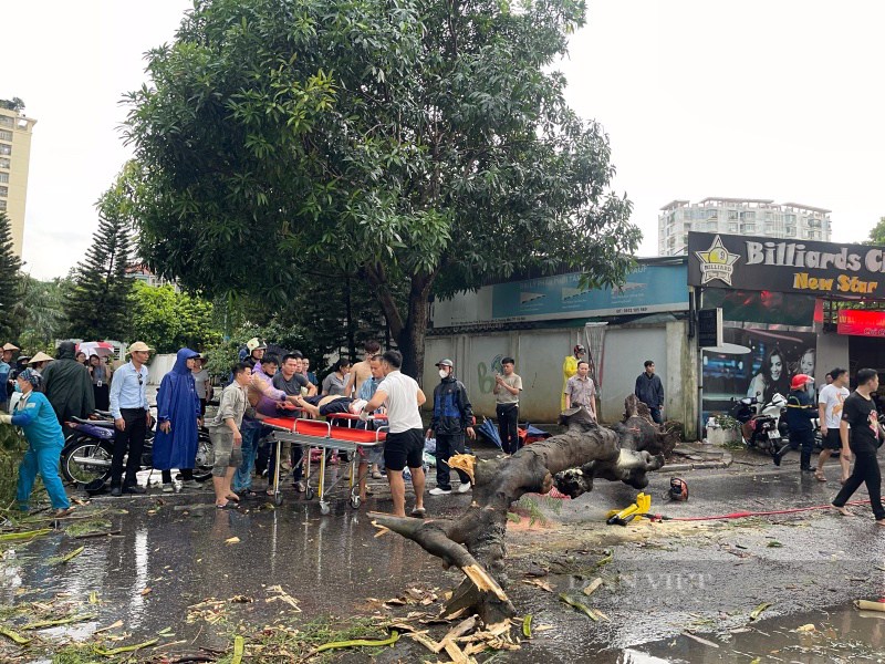 Hà Nội: Giông cực lớn do ảnh hưởng siêu bão Yagi, 2 người bị cây gãy đè trúng thương vong - Ảnh 1.