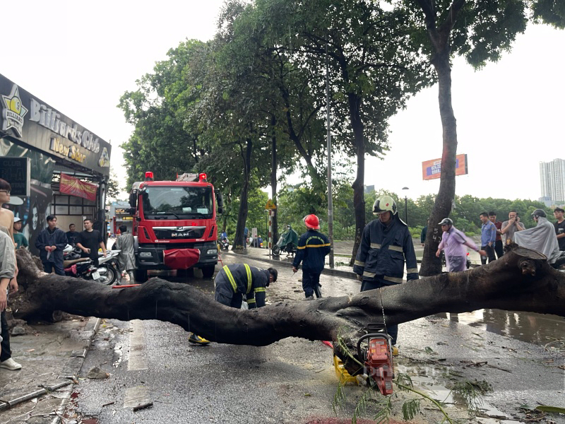 Hà Nội: Giông cực lớn do ảnh hưởng siêu bão Yagi, 2 người bị cây gãy đè trúng thương vong - Ảnh 3.