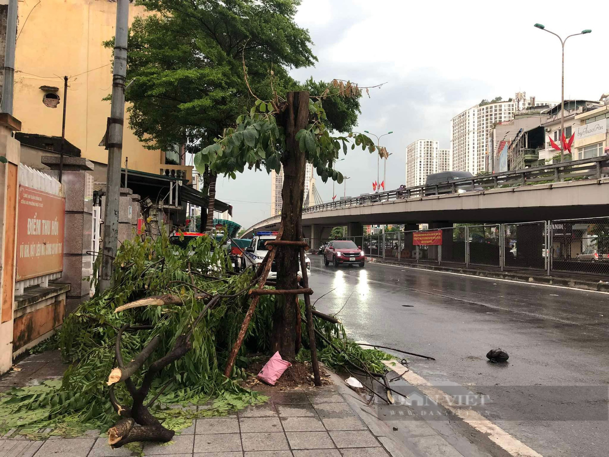 Bão Yagi chưa đổ bộ, cây xanh ở Hà Nội đã đổ la liệt, đường phố ùn tắc trầm trọng- Ảnh 5.