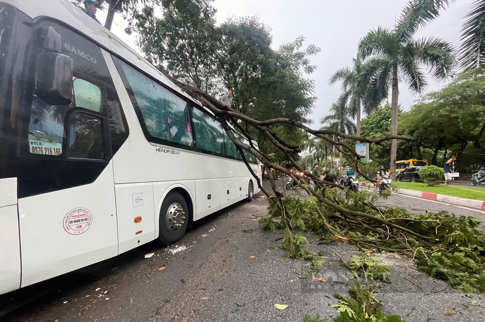 Nhiều ôtô bị đè bẹp sau cơn mưa lớn kèm gió cực mạnh ở Hà Nội - Ảnh 3.