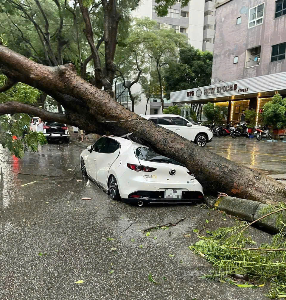 Nhiều ôtô bị đè bẹp sau cơn mưa lớn kèm gió cực mạnh ở Hà Nội - Ảnh 5.