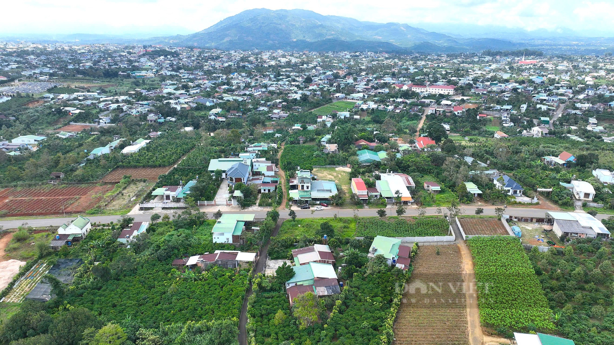 Gỡ vướng quy hoạch bauxite ở Tây Nguyên: Chính quyền “có tiền nhưng không tiêu được” (Bài 2) - Ảnh 8.