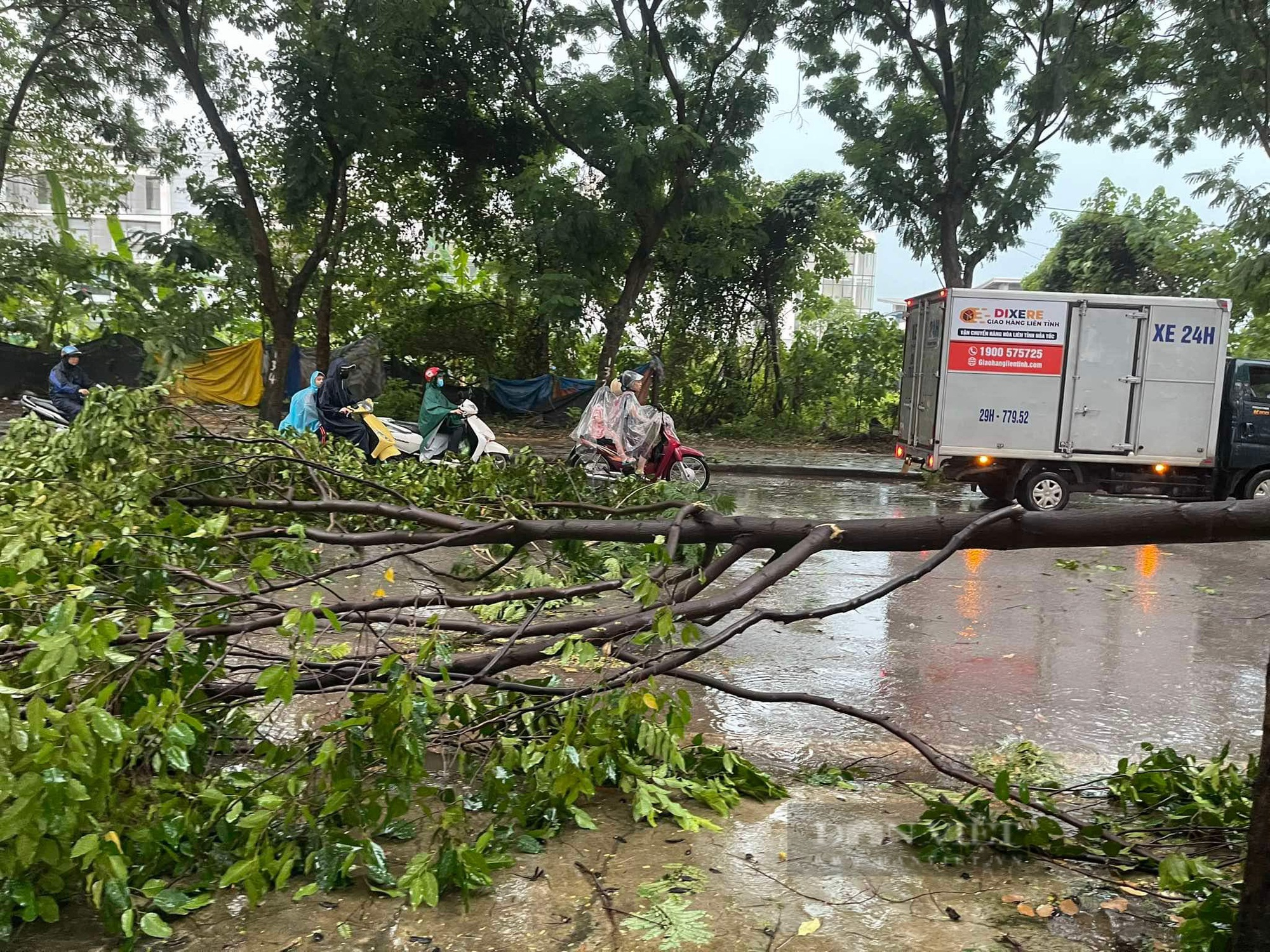 Hà Nội: Giông cực lớn do ảnh hưởng siêu bão Yagi, 2 người bị cây gãy đè trúng thương vong - Ảnh 5.