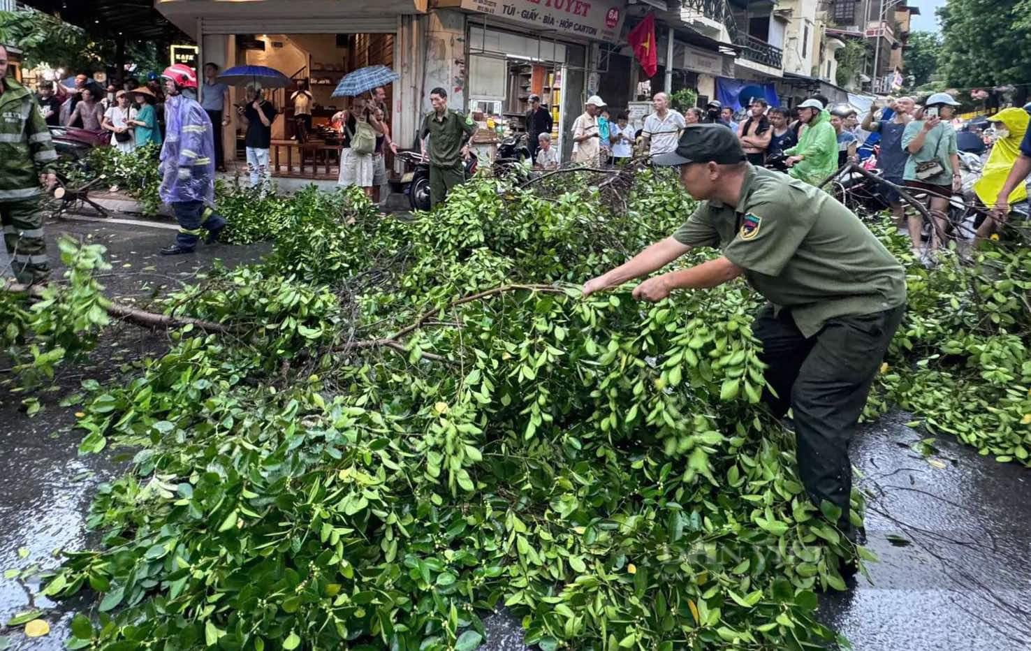 Hà Nội: Giông cực lớn do ảnh hưởng siêu bão Yagi, 2 người bị cây gãy đè trúng thương vong - Ảnh 6.