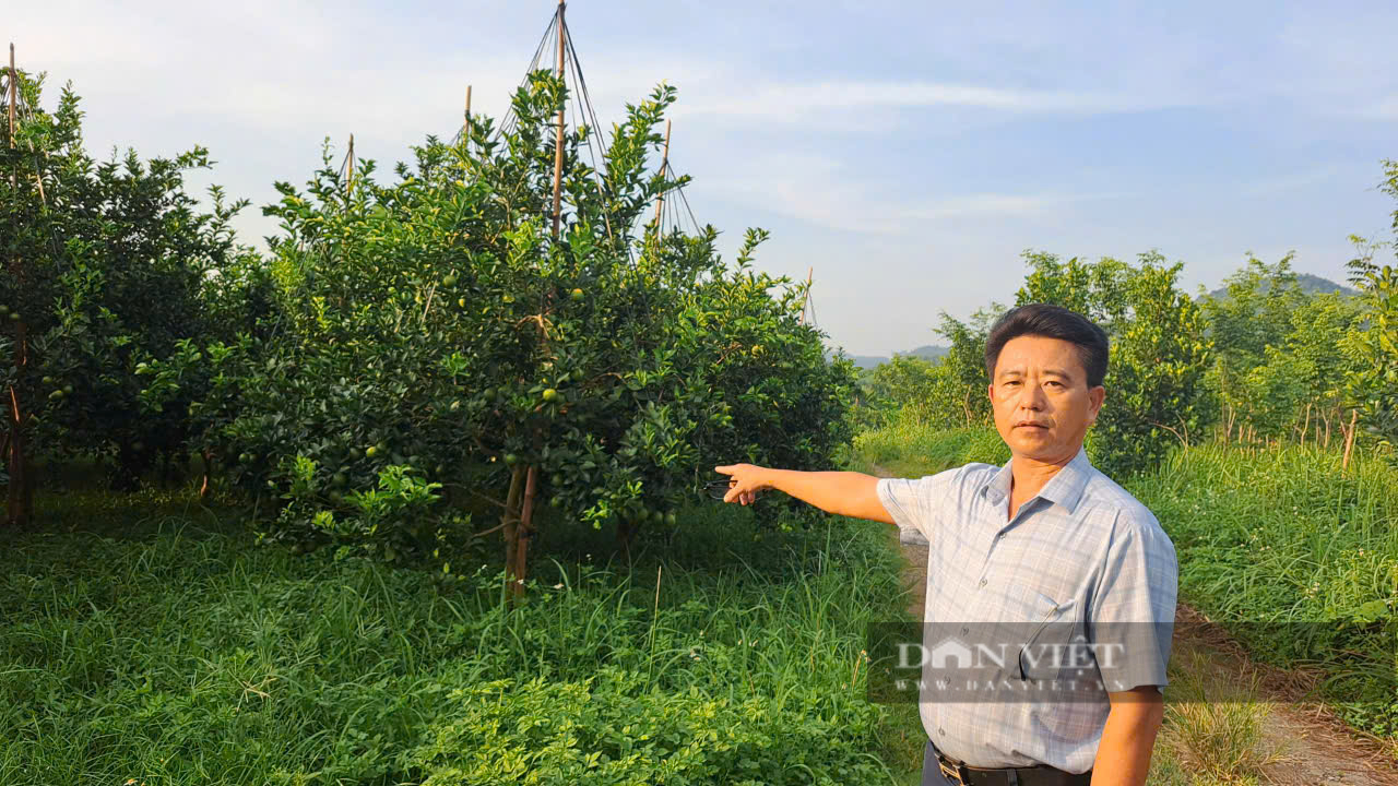 Có dấu hiệu “giả mạo chữ ký” trong hồ sơ vụ án dân sự “yêu cầu chia tài sản chung” ở Hòa Bình- Ảnh 2.