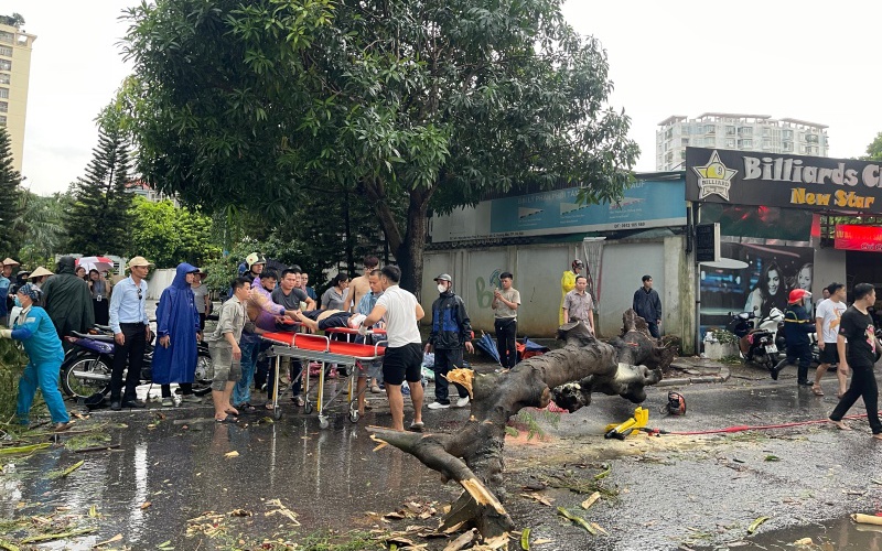 Cây đổ đè bẹp ô tô trong bão số 3 Yagi, trách nhiệm bồi thường thuộc về ai?- Ảnh 1.