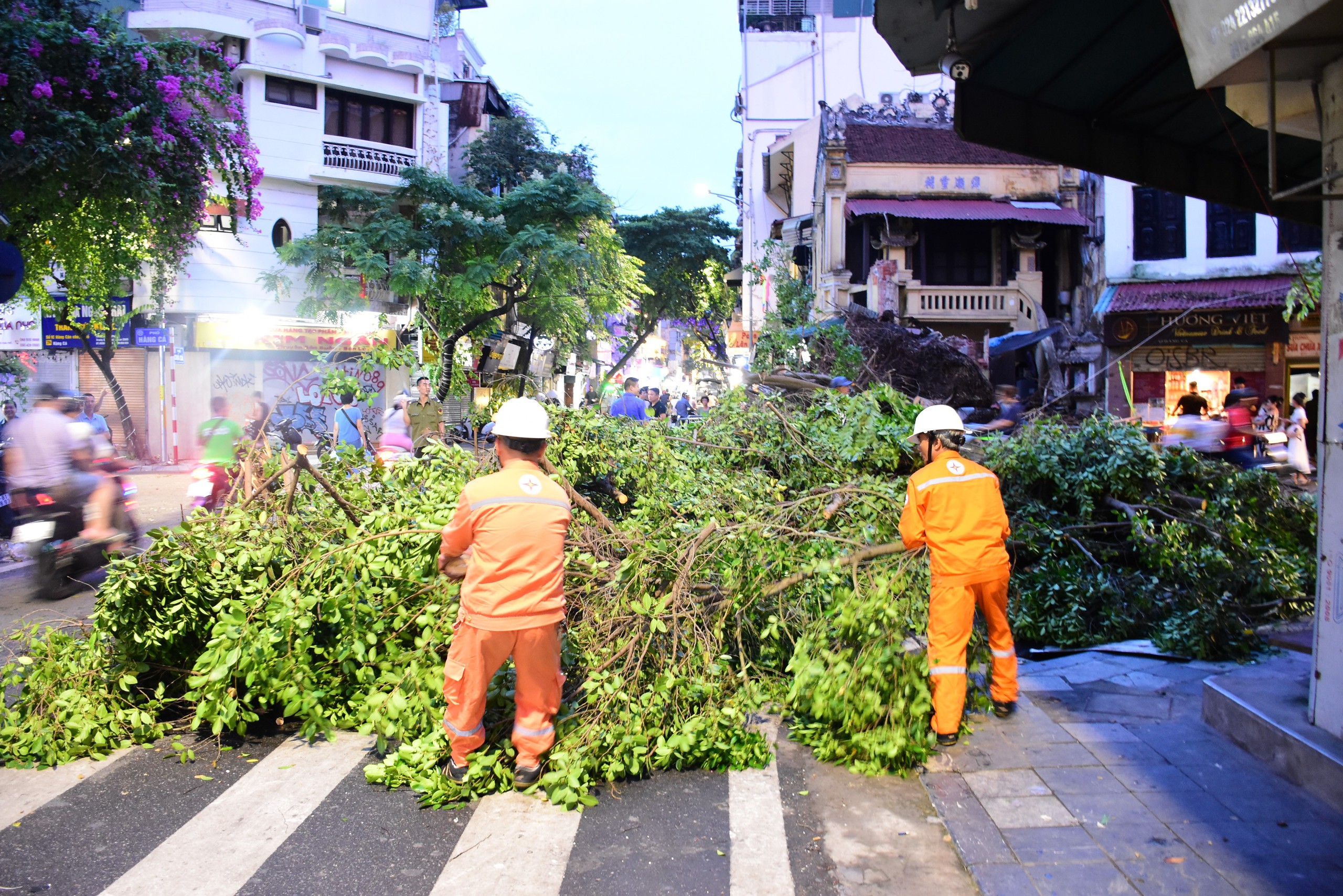 EVNHANOI triển khai phương án phòng chống bão số 3, đảm bảo an toàn cho hệ thống điện Hà Nội