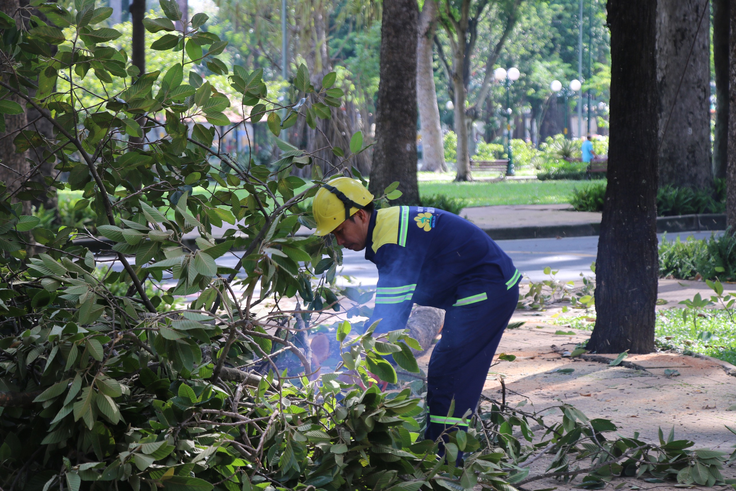 TP.HCM lên kế hoạch ứng phó ảnh hưởng bão Yagi - Ảnh 1.