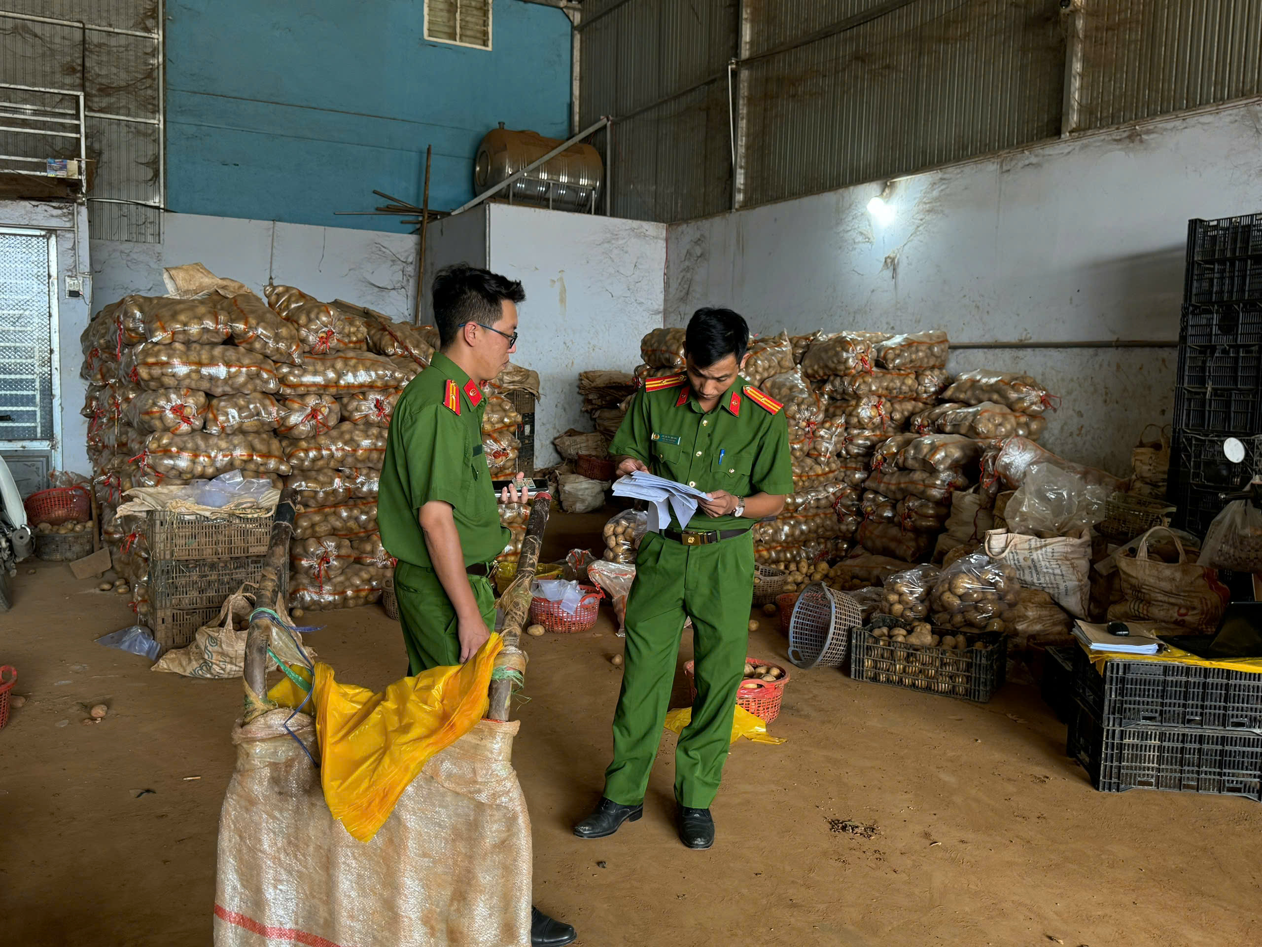 Điều tra dấu hiệu dán tem “nông sản Đà Lạt” vào khoai tây Trung Quốc - Ảnh 4.