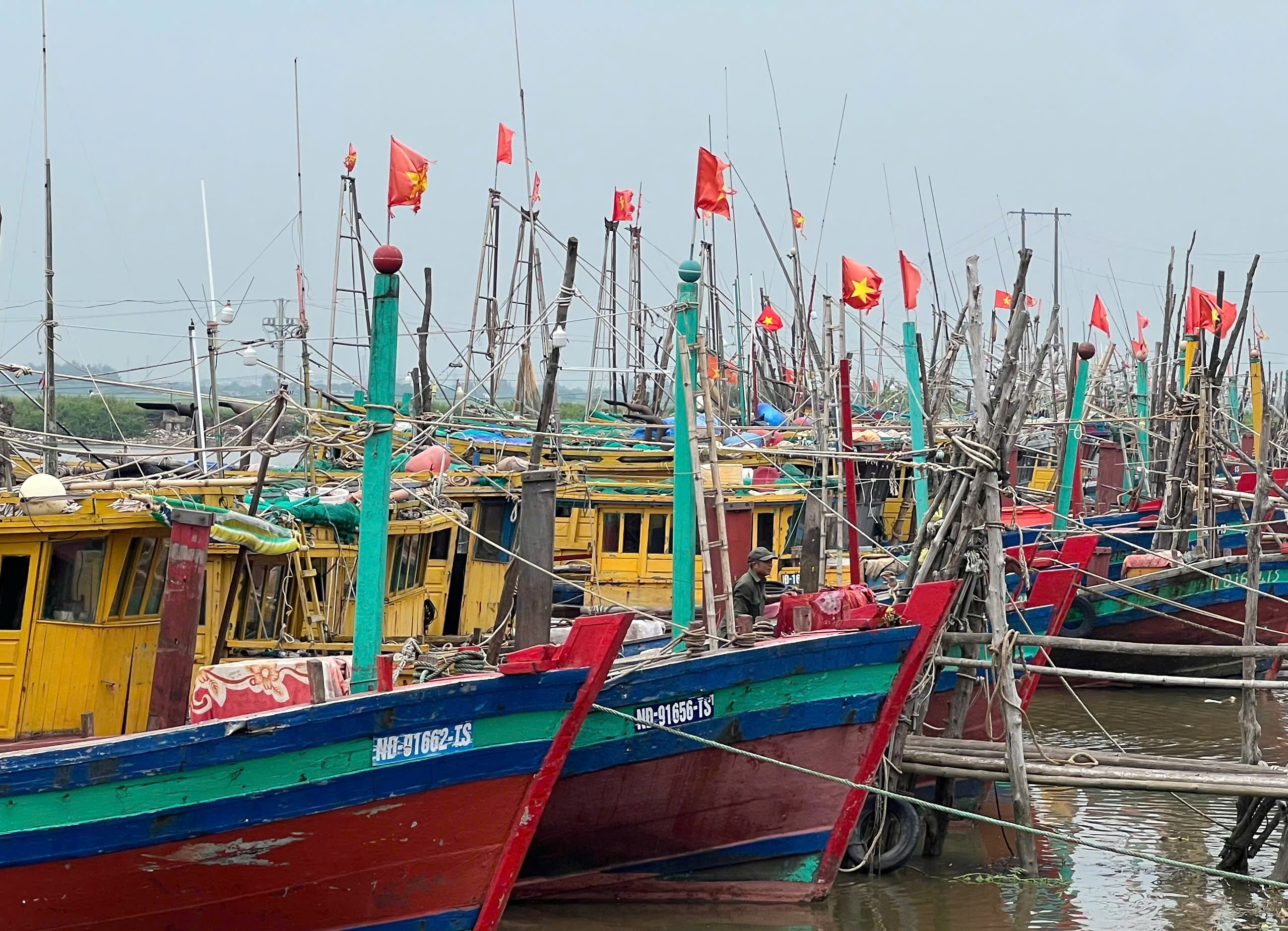 Cập nhật: Bão Yagi cách Quảng Ninh 180km, giật cấp 17 - Ảnh 15.