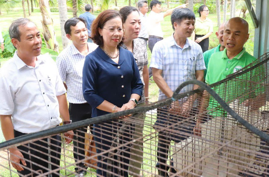 Phó Chủ tịch Trung ương Hội Nông dân Việt Nam Bùi Thị Thơm thăm nông dân điển hình ở Bình Thuận- Ảnh 5.