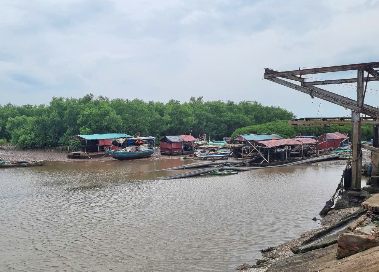 Siêu bão số 3-cơn bão Yagi trước giờ vào bờ biển Ninh Bình, tỉnh này đã sơ tán gần 2.600 người- Ảnh 8.