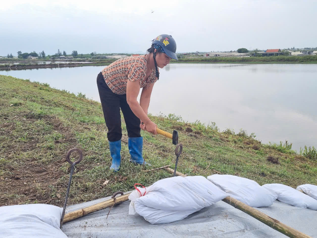 Siêu bão số 3-cơn bão Yagi trước giờ vào bờ biển Ninh Bình, tỉnh này đã sơ tán gần 2.600 người- Ảnh 7.