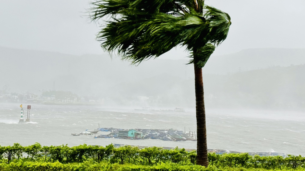 Thiệt hại do bão số 3: 4 người chết, 78 người bị thương, Quảng Ninh, Hải Phòng, Thái Bình, Hải Dương mất điện diện rộng - Ảnh 1.