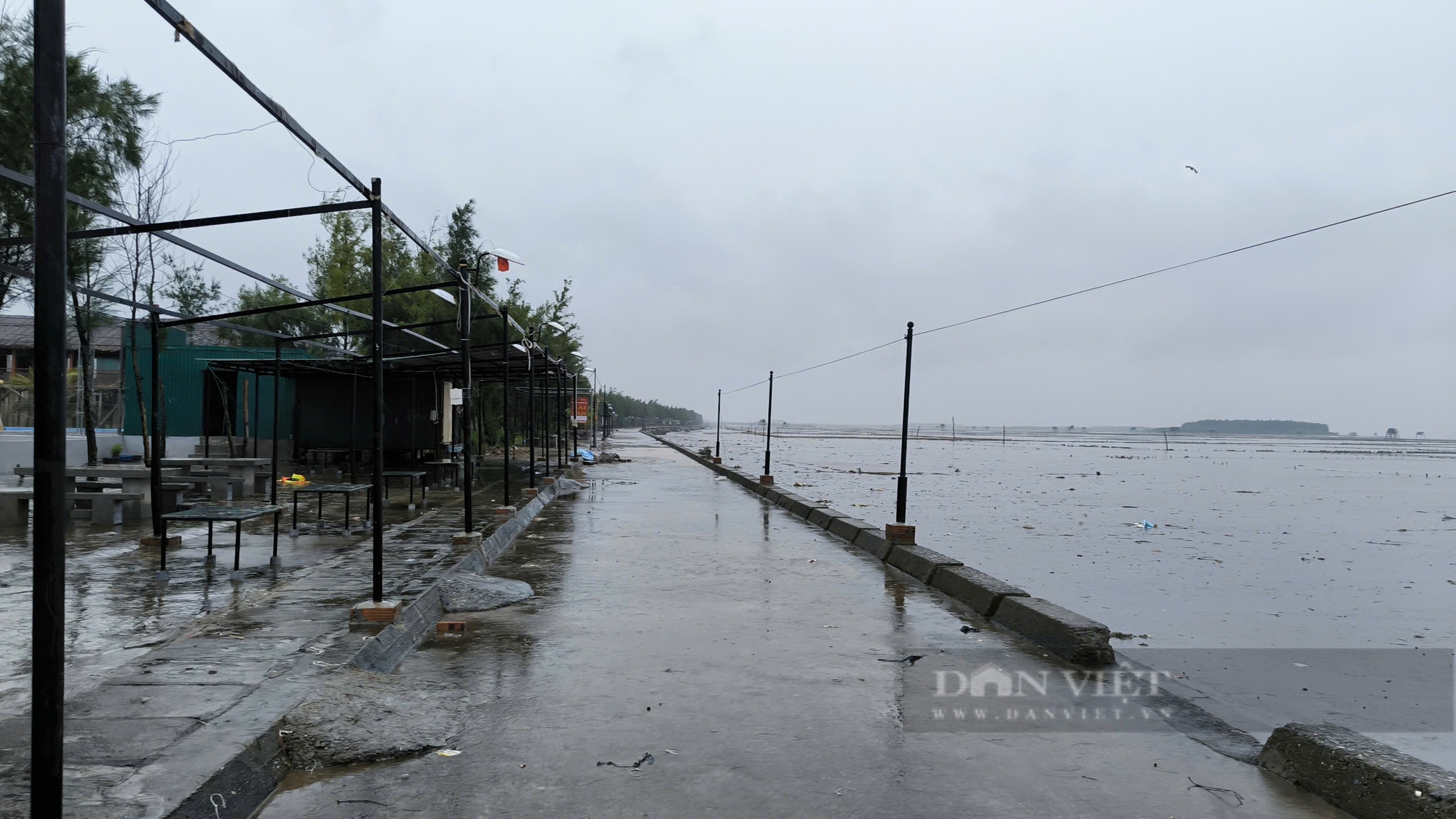 Cập nhật bão Yagi ngày 7/9: Hải Phòng, Quảng Ninh mất điện diện rộng khi bão đổ bộ vào - Ảnh 47.