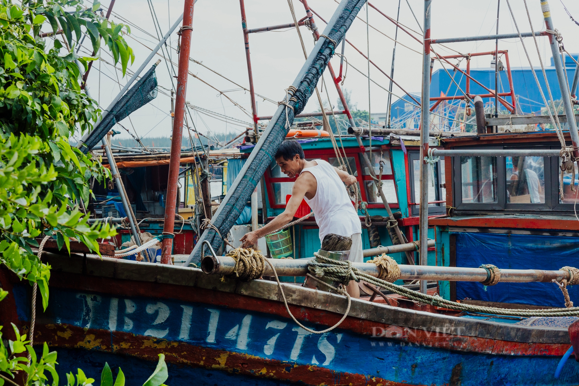 Thái Bình: Ngư dân làng chài hối hả chằng néo tàu thuyền chạy bão Yagi - Ảnh 7.