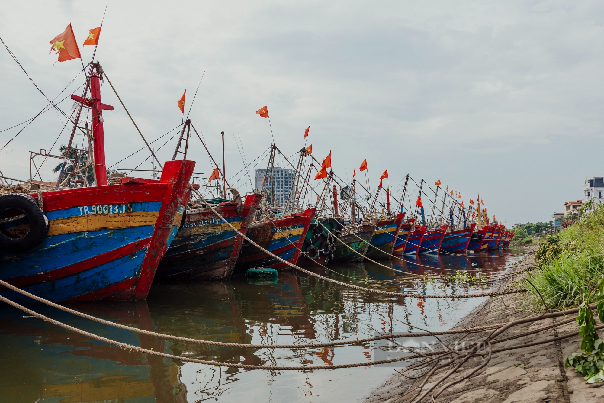 Thái Bình: Ngư dân làng chài hối hả chằng néo tàu thuyền chạy bão Yagi - Ảnh 11.