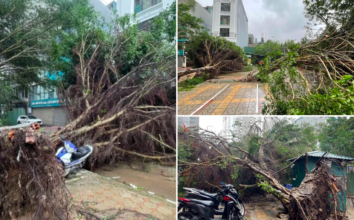 Siêu bão Yagi: Hà Nội tạm dừng chạy tàu Cát Linh - Hà Đông và Nhổn - ga Hà Nội - Ảnh 1.