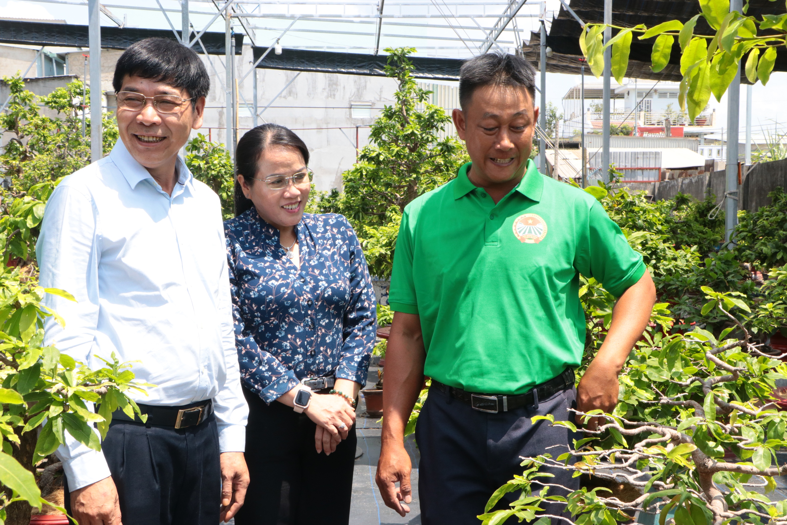 Nông dân khéo léo "biến" cây mai vàng ra đủ loại hình thù, Tết đến bán đắt hàng - Ảnh 1.