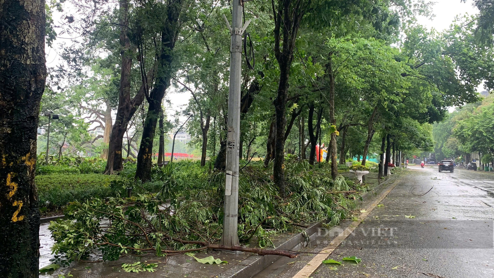 Cập nhật bão Yagi ngày 7/9: Hải Phòng, Quảng Ninh mất điện diện rộng khi bão đổ bộ vào - Ảnh 23.