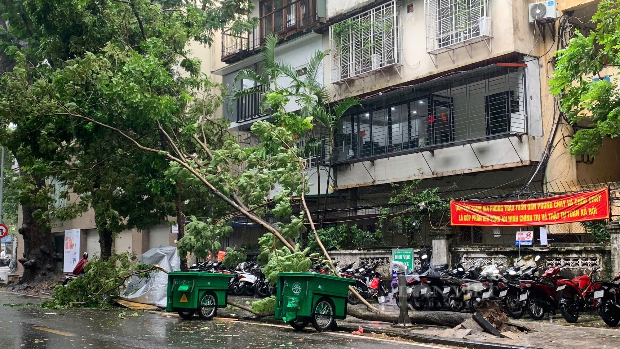 Cập nhật bão Yagi ngày 7/9: Hải Phòng, Quảng Ninh mất điện diện rộng khi bão đổ bộ vào - Ảnh 22.