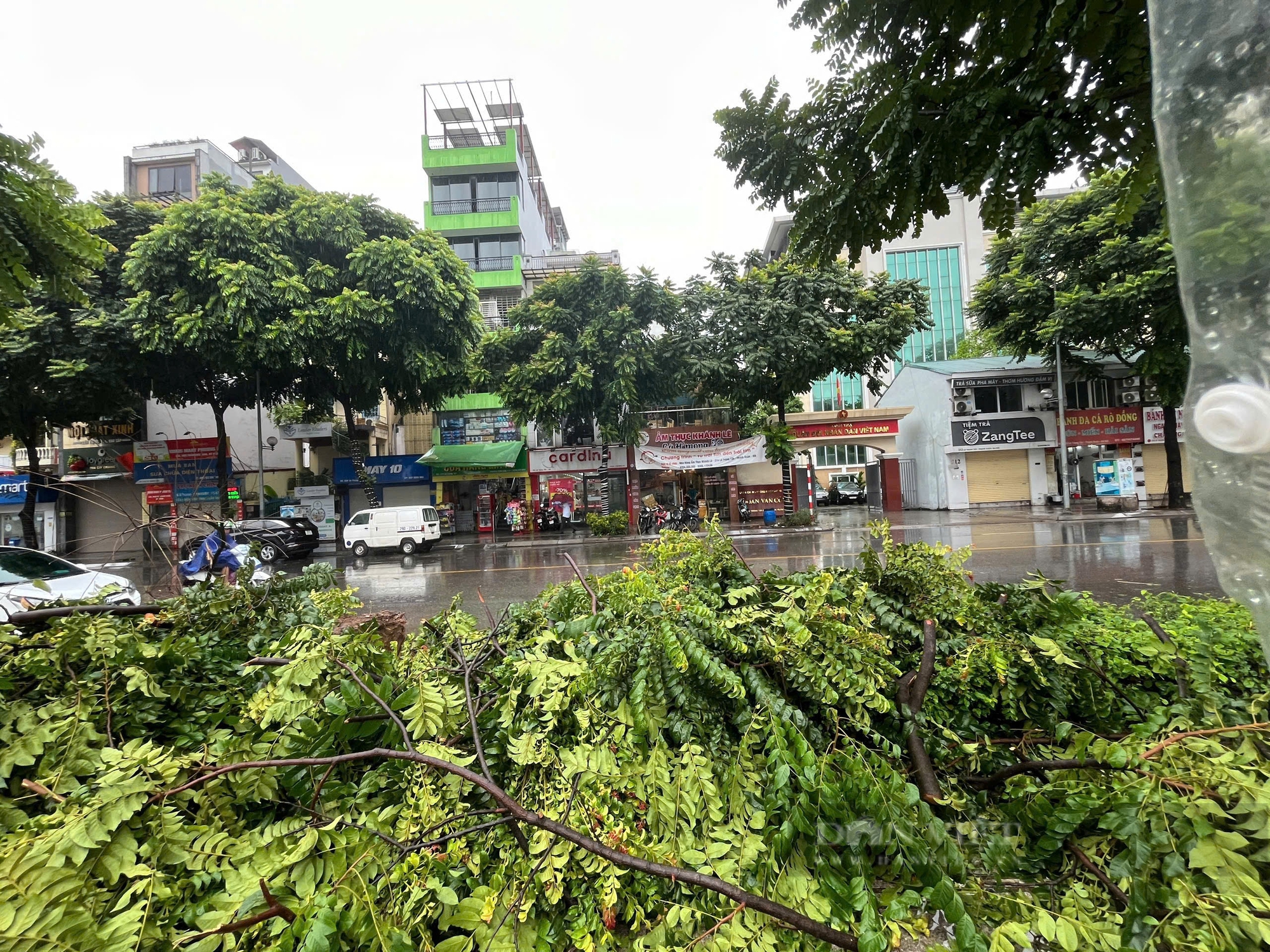 Cập nhật bão Yagi ngày 7/9: Hải Phòng, Quảng Ninh mất điện diện rộng khi bão đổ bộ vào - Ảnh 21.