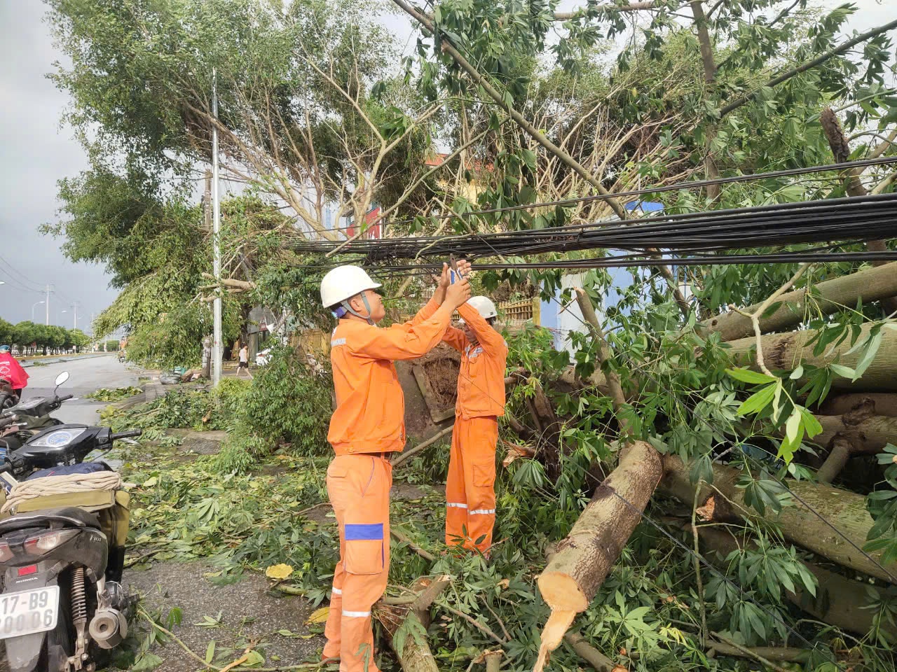 Nước ngập trắng đồng lúa, chuối gãy gập ngang thân sau siêu bão Yagi- Ảnh 4.