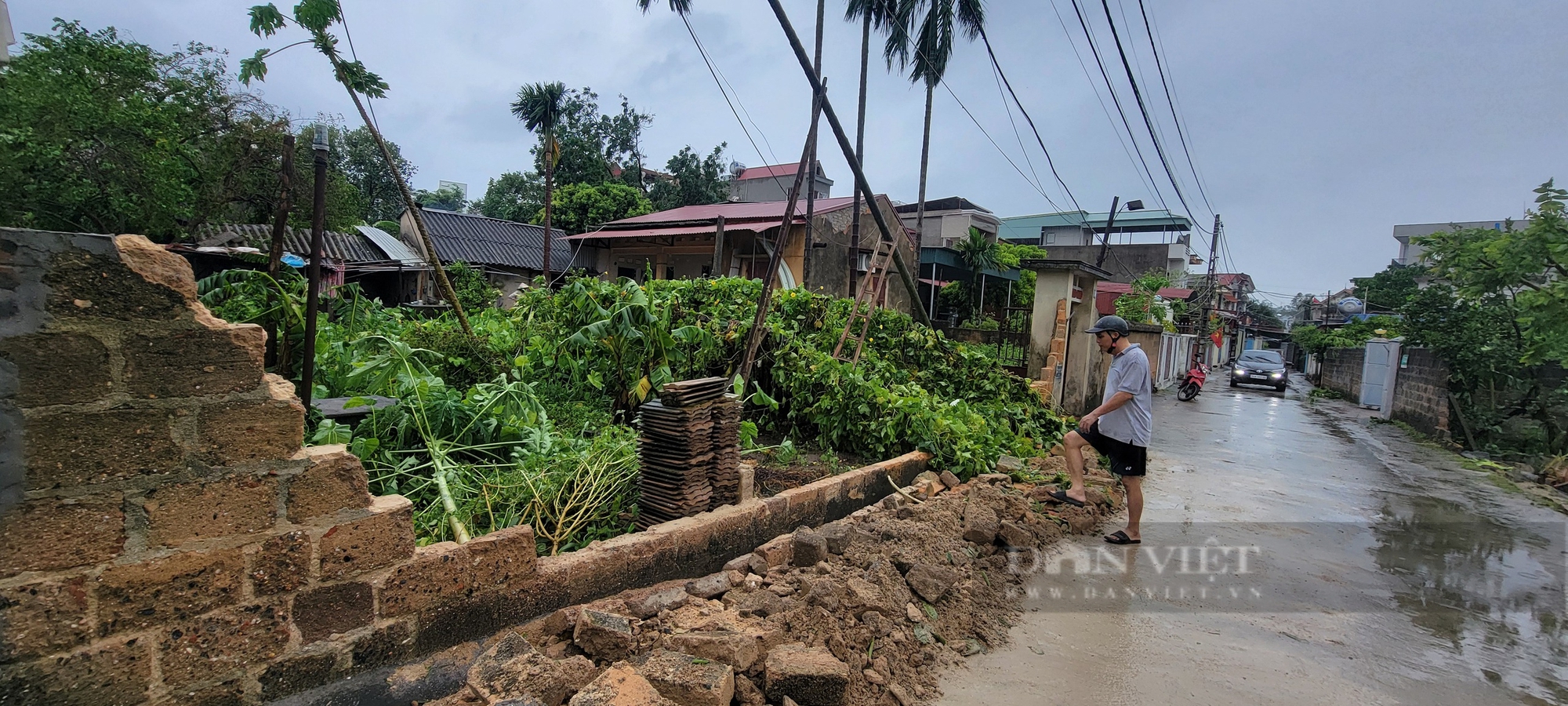 Ông nông dân ở Chí Linh - Hải Dương buồn thiu xem câu cá trên cánh đồng bị ngập do bão số 3 gây ra- Ảnh 4.