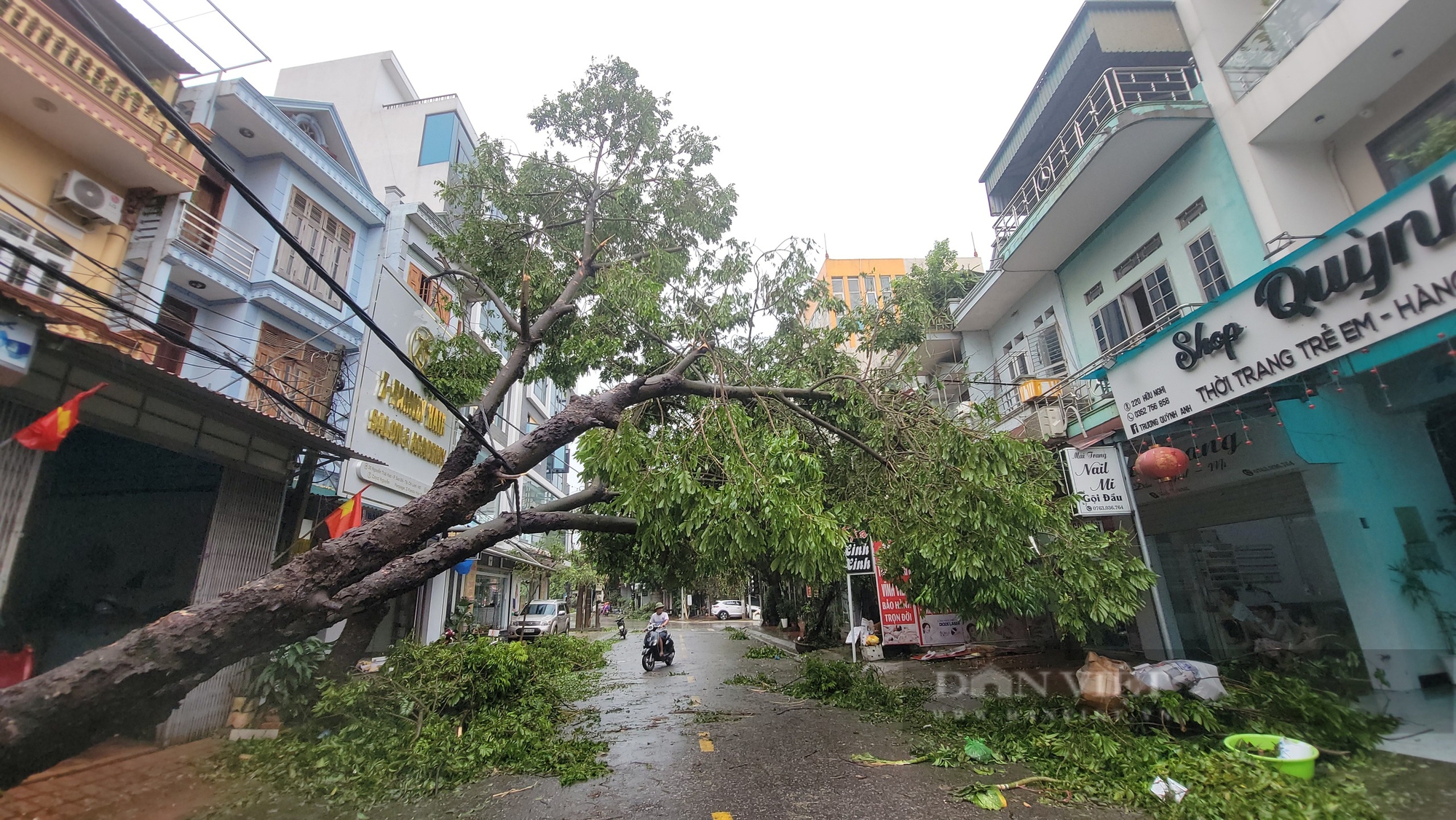 Ông nông dân ở Chí Linh - Hải Dương buồn thiu xem câu cá trên cánh đồng bị ngập do bão số 3 gây ra- Ảnh 6.