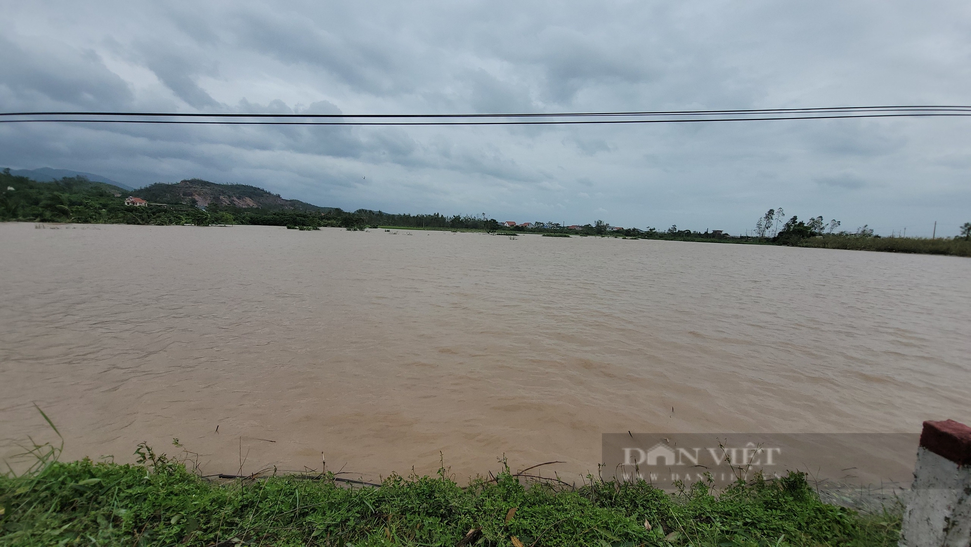 Ông nông dân ở Chí Linh - Hải Dương buồn thiu xem câu cá trên cánh đồng bị ngập do bão số 3 gây ra- Ảnh 2.