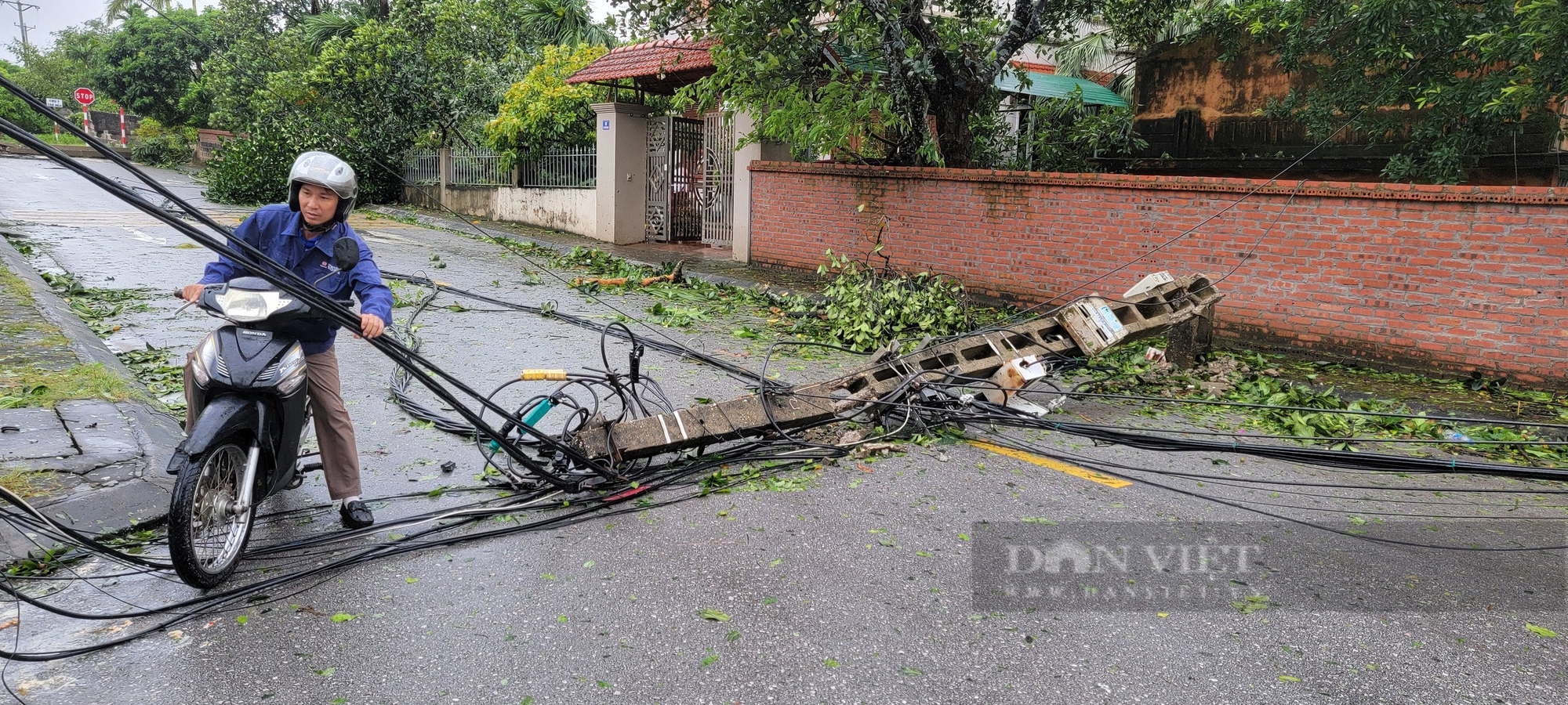 Ông nông dân ở Chí Linh - Hải Dương buồn thiu xem câu cá trên cánh đồng bị ngập do bão số 3 gây ra- Ảnh 5.