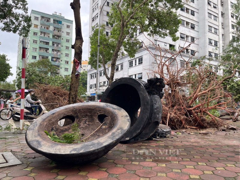 Hàng loạt xe ô tô bị cây cổ thụ đè bẹp hư hỏng nặng, trong đó có xe sang, chủ xe lặng người xót xa- Ảnh 14.