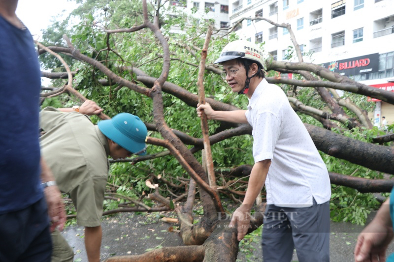 Nhiều cây cổ thụ bật gốc, đè nát ô tô sau khi bão Yagi "cuồng phong" đổ bộ vào Hà Nội - Ảnh 5.