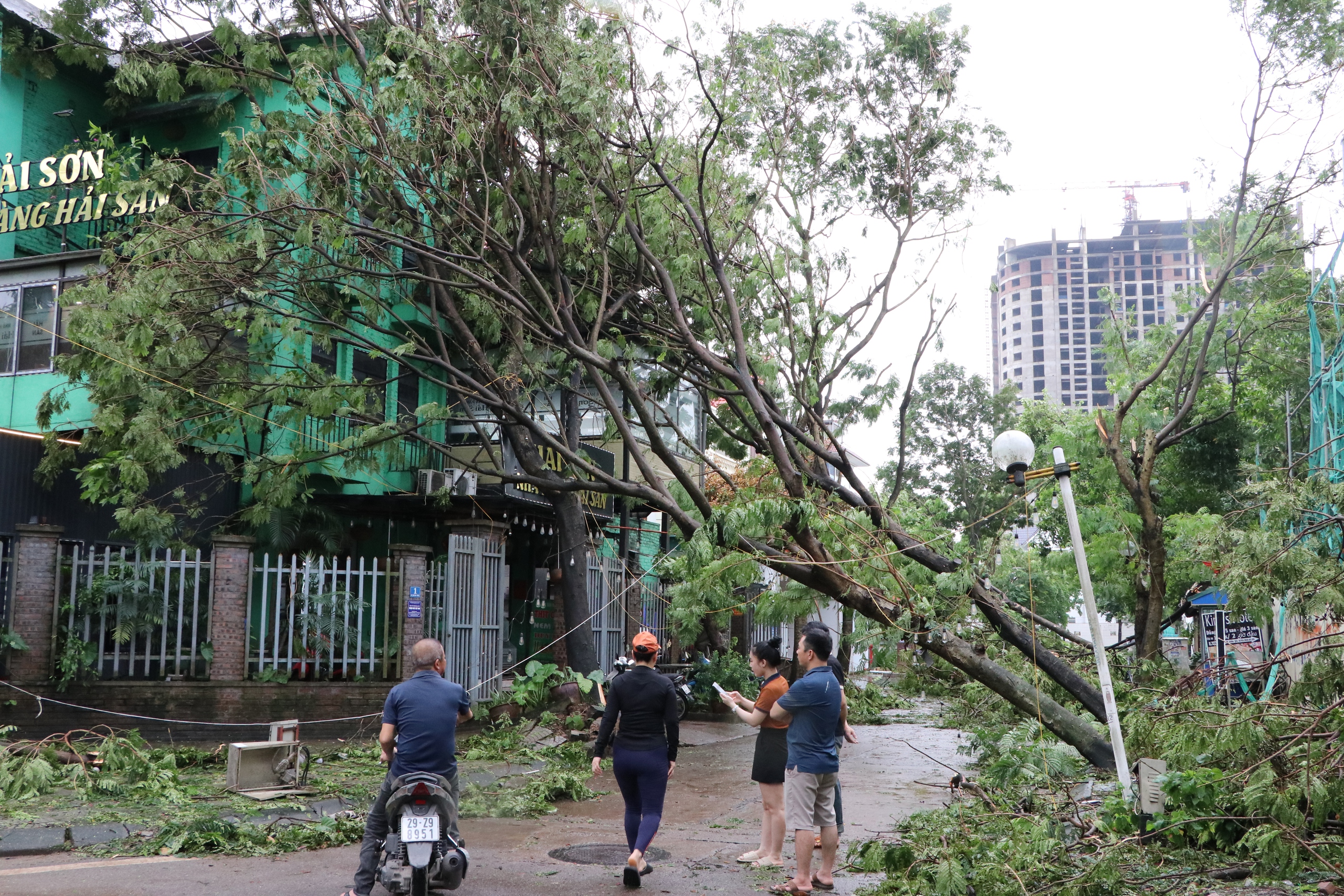 Loạt cây cổ thụ bị bão số 3 quật ngã, đổ rạp vào nhiều biệt thự trị giá hàng chục tỷ đồng ở Hà Nội- Ảnh 12.