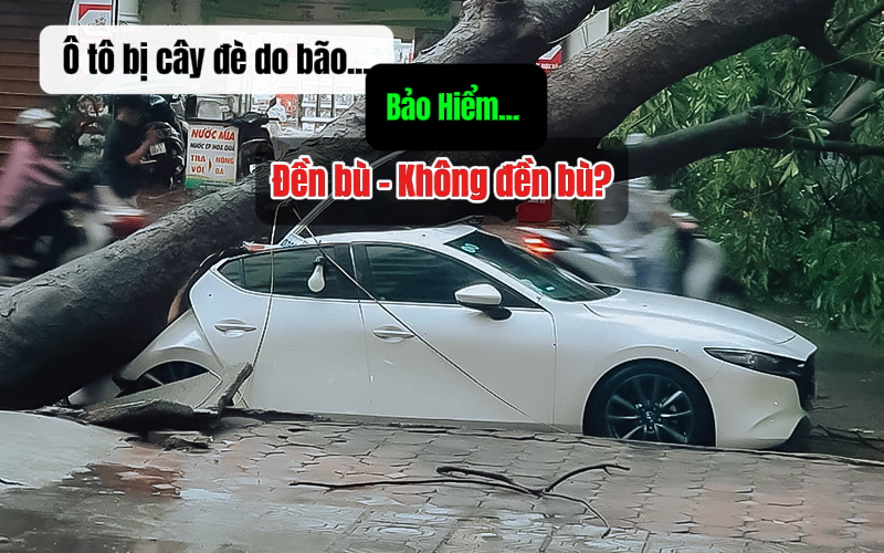 Siêu bão Yagi càn quét: Hé mở về hàng loạt thiệt hại và "toan tính" của công ty bảo hiểm- Ảnh 3.