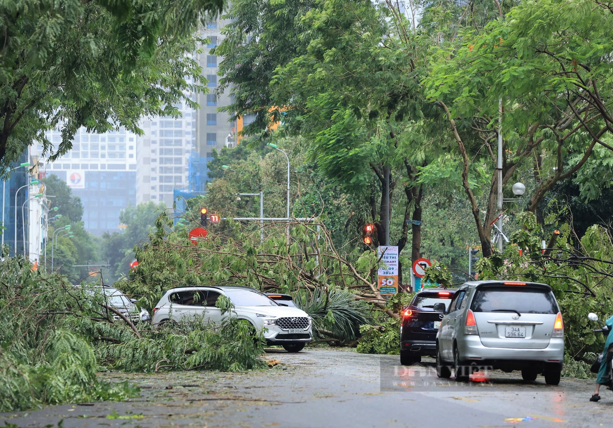 Tượng đài Cảm tử bị cây xanh đè trúng, đường phố Hà Nội rợp bóng bộ đội- Ảnh 3.