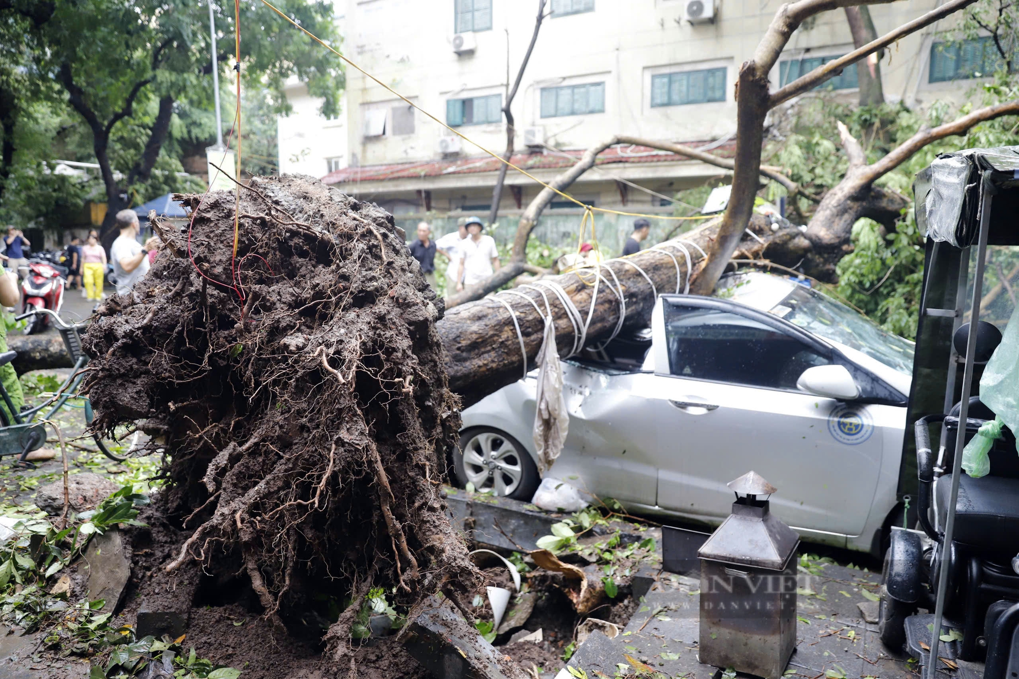 Tượng đài Cảm tử bị cây xanh đè trúng, đường phố Hà Nội rợp bóng bộ đội- Ảnh 5.