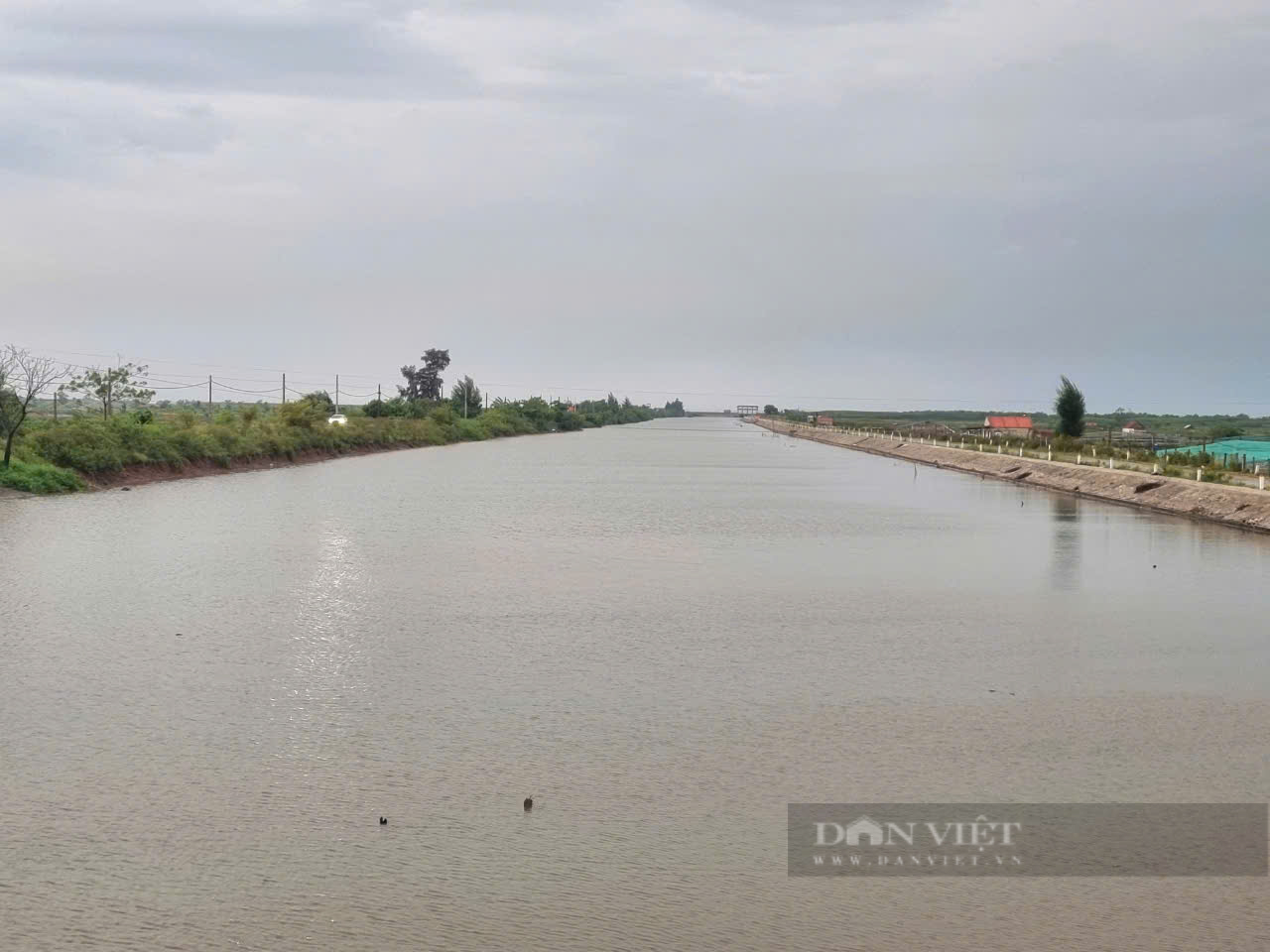 Ninh Bình: Tập trung tiêu úng, thoát nước bảo vệ cây lúa và hoa màu sau hoàn lưu bão số 3-cơn bão Yagi - Ảnh 3.