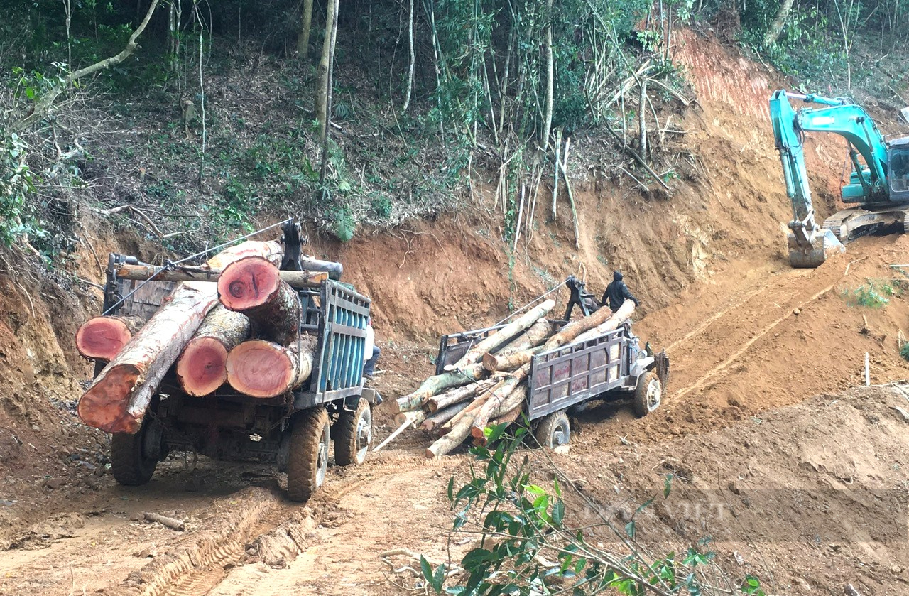 Đẩy nhanh tiến độ đường nối Ninh Thuận – Lâm Đồng tạo kết nối liên vùng trong tiêu thụ nông sản- Ảnh 3.