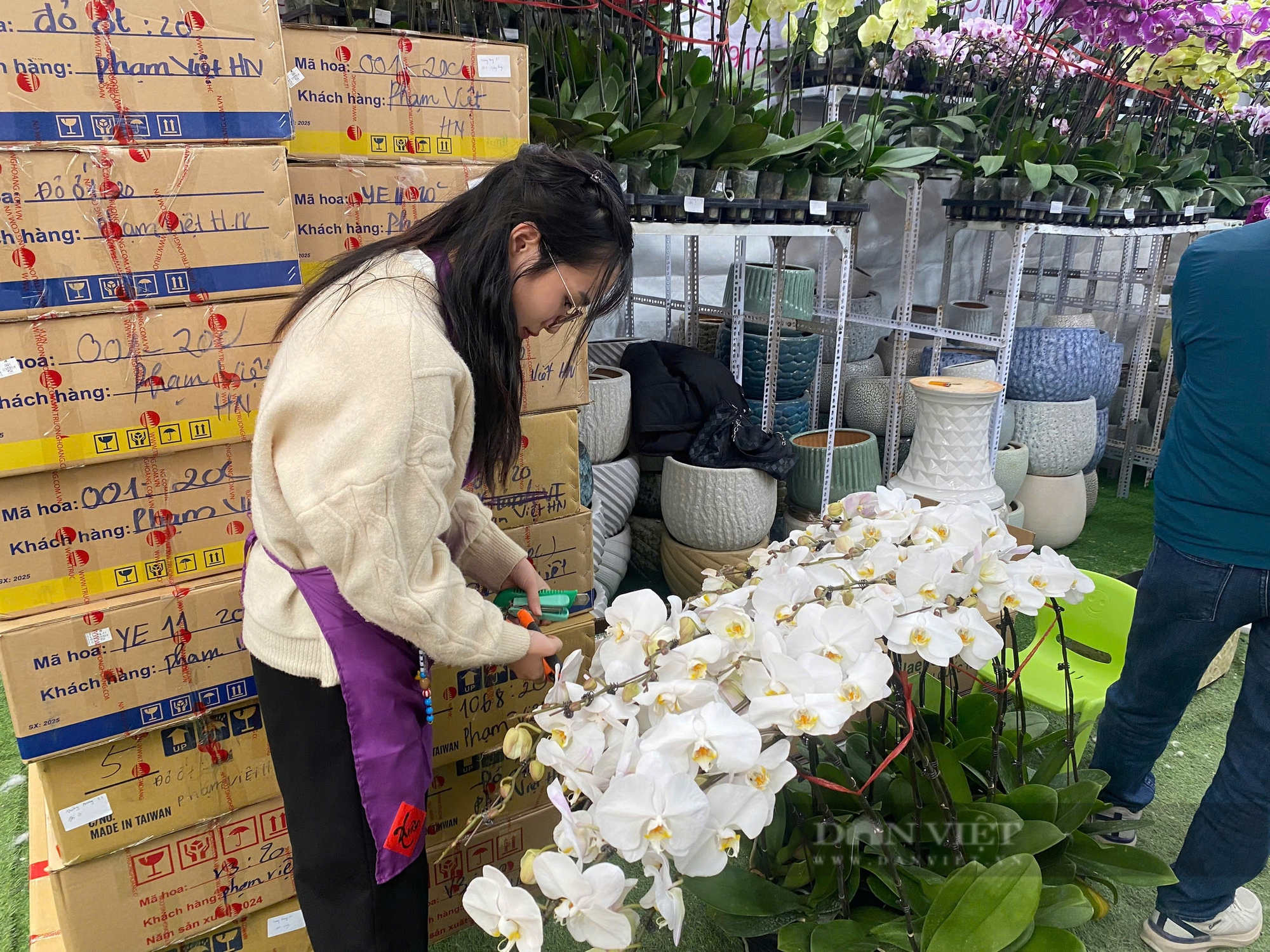 "Ngề lạ", cả năm chỉ làm một tháng nhưng kiếm được hàng trăm triệu đồng - Ảnh 3.