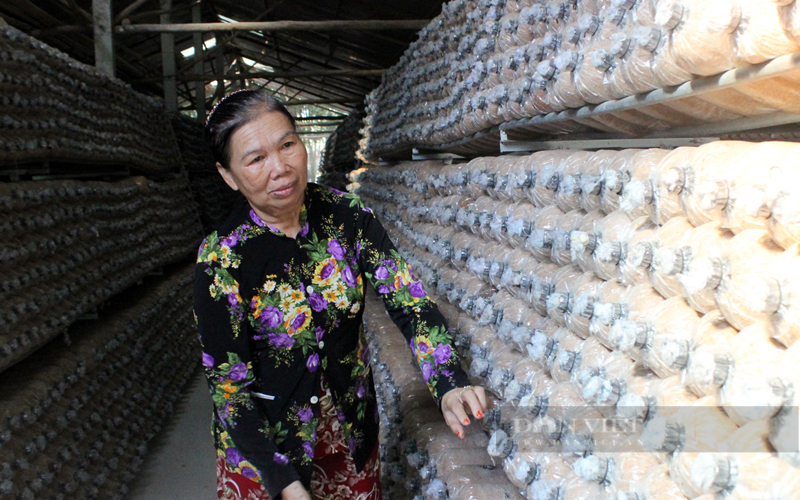 Chi hội nông dân ở tỉnh này, năm nào 100% hội viên cũng đạt danh hiệu sản xuất kinh doanh giỏi cấp tỉnh trở lên - Ảnh 3.