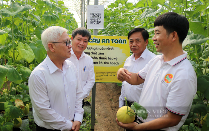 Chi hội nông dân ở tỉnh này, năm nào 100% hội viên cũng đạt danh hiệu sản xuất kinh doanh giỏi cấp tỉnh trở lên - Ảnh 4.