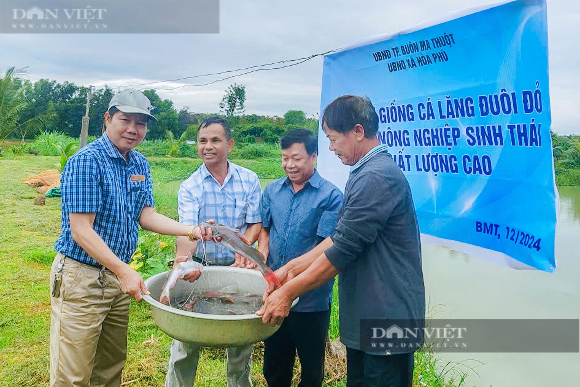 Nuôi “thủy quái”, nông dân Đắk Lắk kiếm hàng trăm triệu mỗi năm mà chẳng tốn nhiều công sức - Ảnh 6.