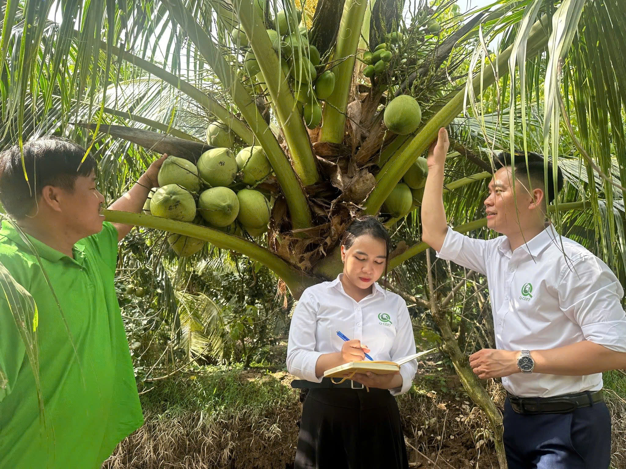 QCERT: Địa chỉ “vàng” đánh giá, chứng nhận các tiêu chuẩn nông nghiệp - Ảnh 1.