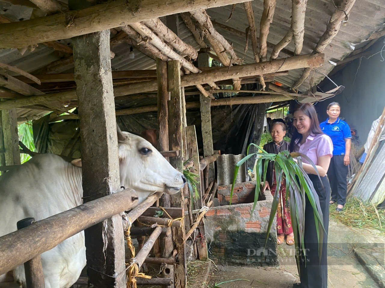 Nông dân Quảng Ngãi thi đua lao động sản xuất, chung tay xây dựng nông thôn mới - Ảnh 7.