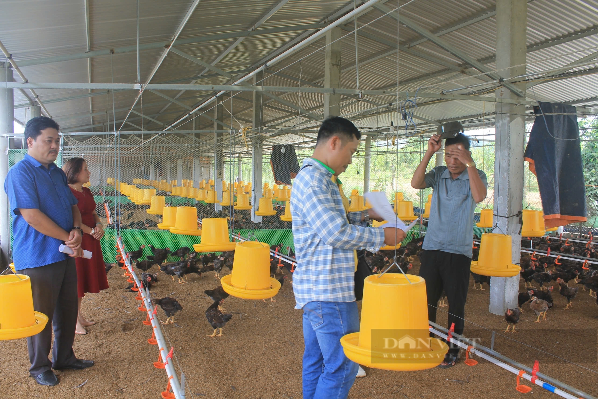 Nông dân Quảng Ngãi thi đua lao động sản xuất, chung tay xây dựng nông thôn mới - Ảnh 1.